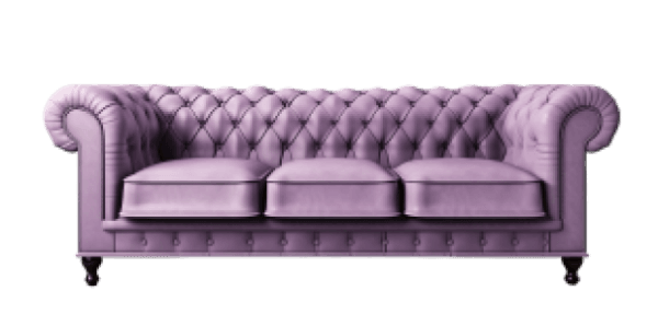 Sleeper Sofa 1