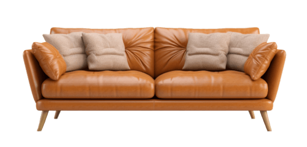 Sleeper Sofa 5